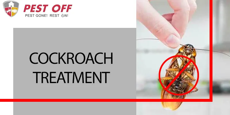 Cockroach Treatment in Karachi
