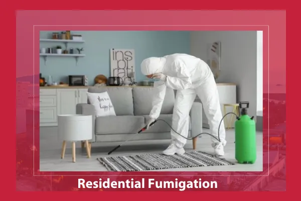 Residential Fumigation Services